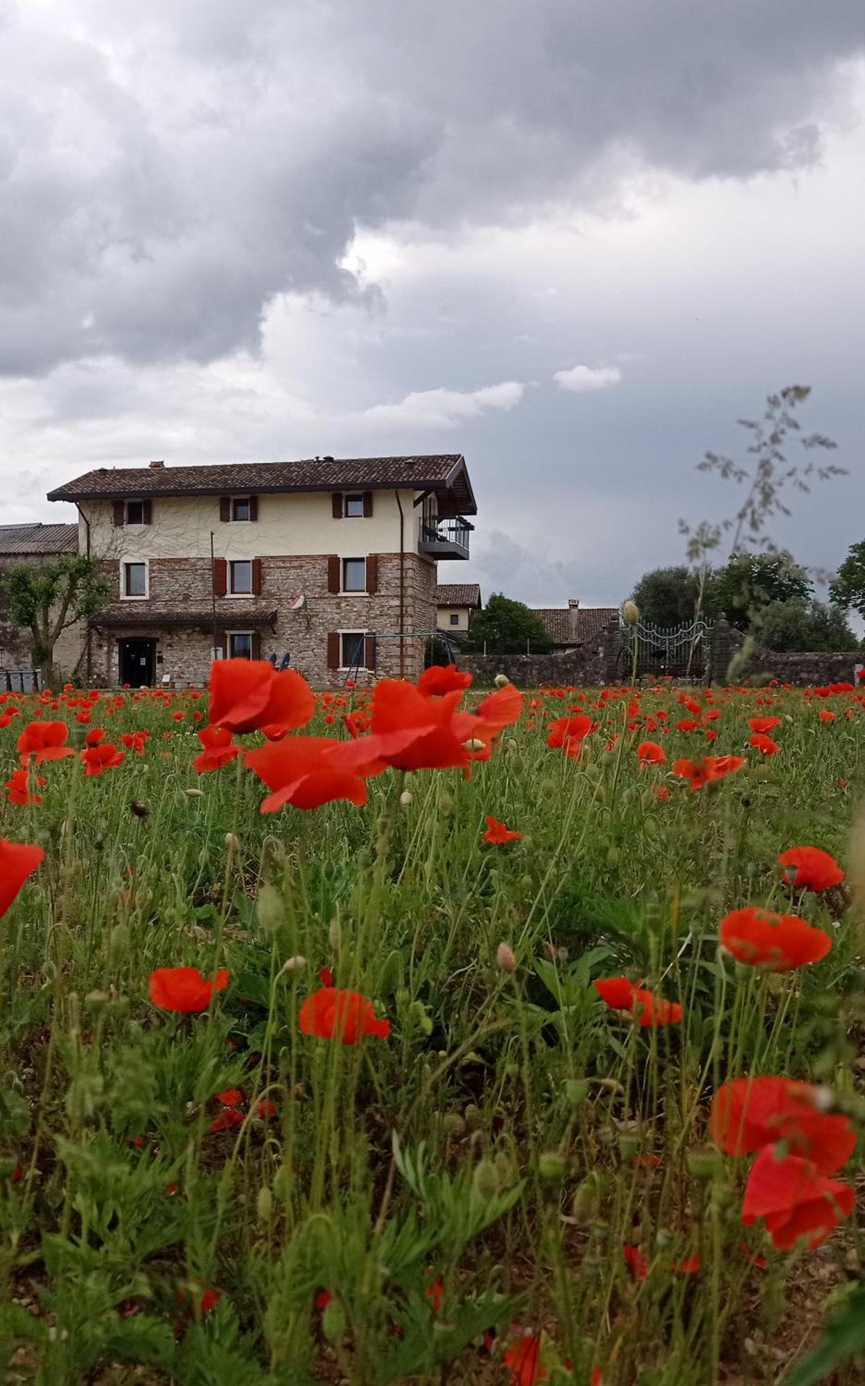 Casal Micelio Villa Udine Bagian luar foto
